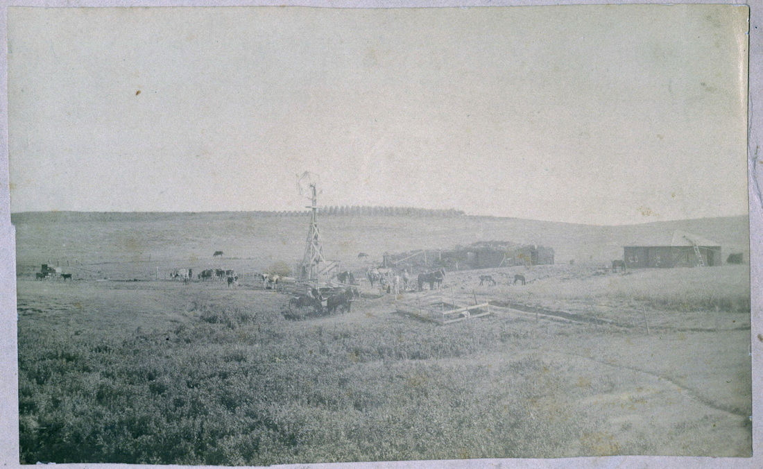 'One of the original homesteaders of Custer county, Nebraska' - Nicholas Family History